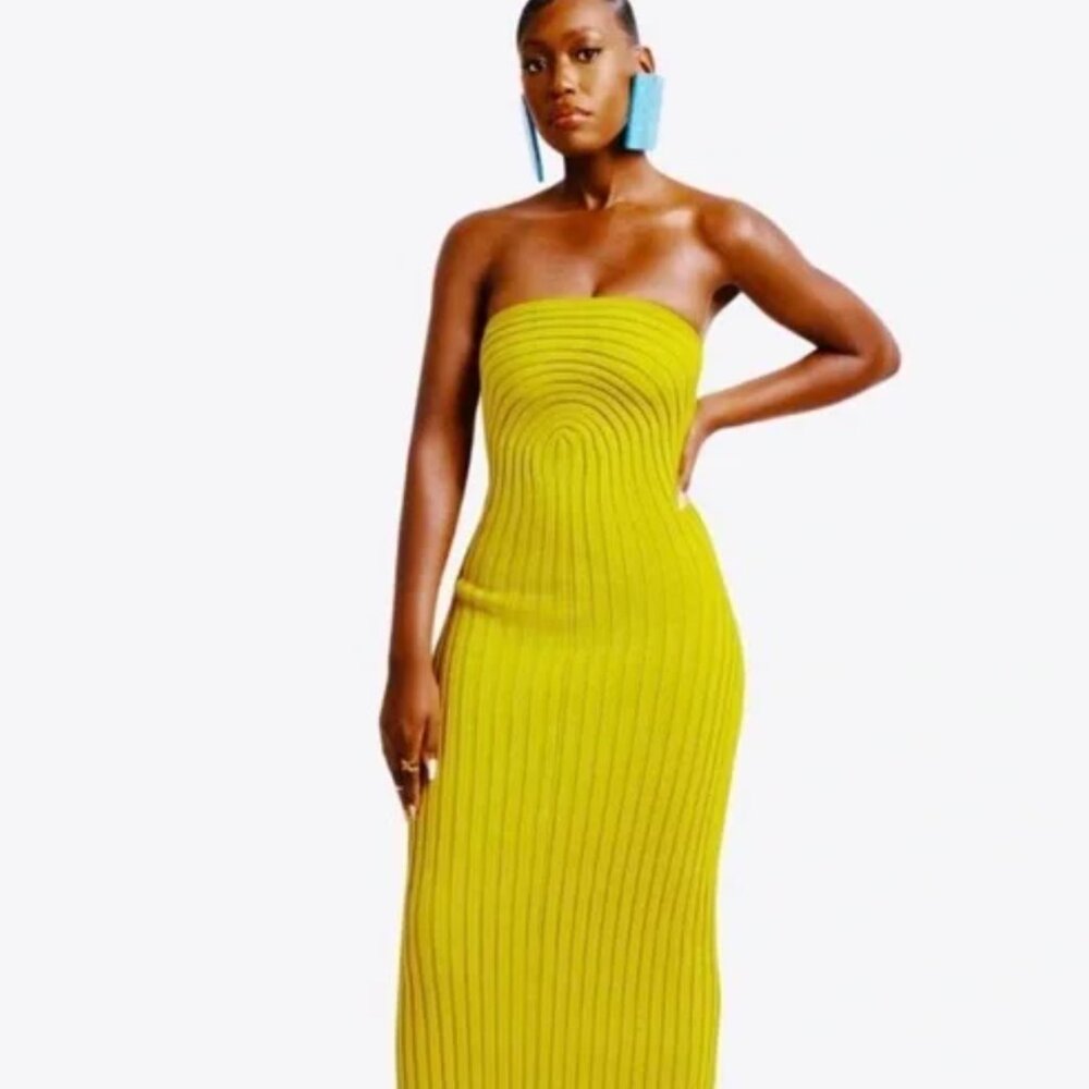 Hanifa Strapless Ribbed Maxi Dress in Lime